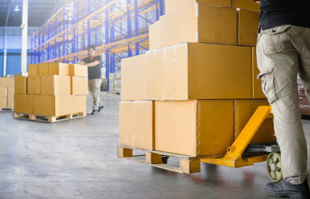 istock Workers Unloading Package Boxes on Pallets in Warehouse. Cartons, Cardboard Boxes. Storehouse, Distribution, Supply Chain. Supplies Warehouse Shipping. 1698247846