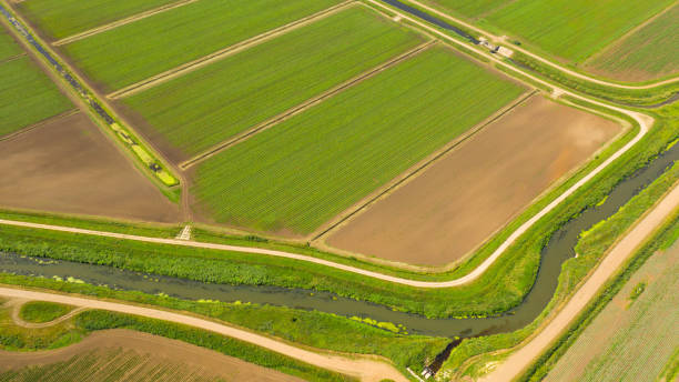 istock Agricultural land with green crops from above 1698281145