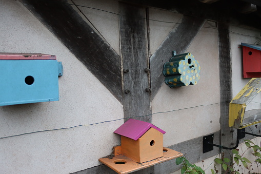 Birdhouse. Photo with clipping path. To see more House images click on the link below:
