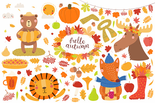 Big autumn set with cute animals bear, lion, moose, fox, leaves, food. Isolated objects on white background. Hand drawn vector illustration. Scandinavian style flat design. Concept for children print.