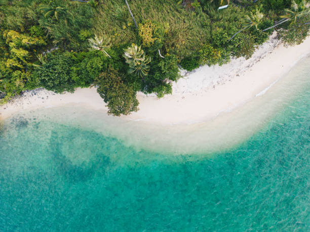 istock Aerial view sea beach wave white sand beach with green tree forest 1698308426