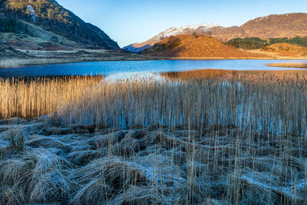 Loch Shiel, Scottish Highlands A frosty spring morning by the shores of Loch Shiel in the Scottish Highlands glenfinnan monument stock pictures, royalty-free photos & images
