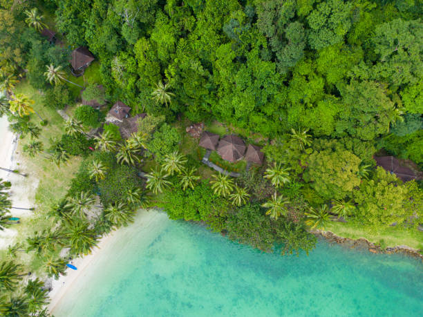 istock Aerial view sea beach wave white sand beach with green tree forest 1698316877