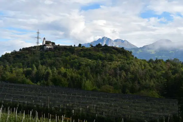 Schöne Landschaft mit Apfelbäumen bei Völlan in Südtirol