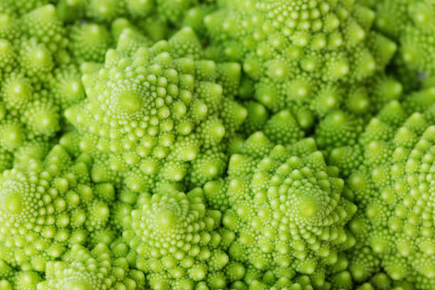 istock Green romanesco cauliflower close-up 1698347303