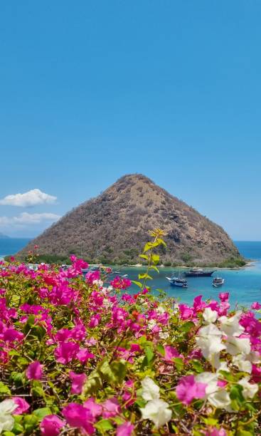 istock Arid brown island in dry season 1698348651