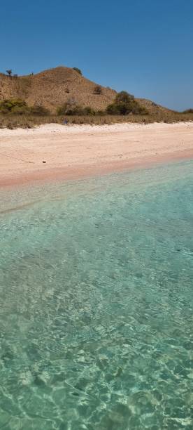 istock Color combination in pink beach 1698360287