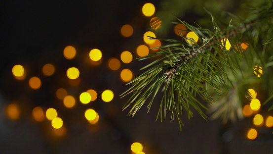 Christmas background fir tree branch and light bulbs. Christmas fair lights background. Branches of a Christmas tree in the foreground. Glowing yellow lights from bulbs and garlands on a blurred background. New Year atmosphere and blurred background.