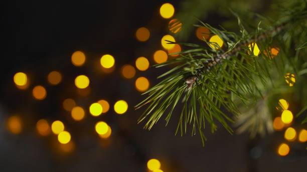 Branches of a Christmas tree in the foreground. Glowing yellow lights from bulbs and garlands on a blurred background. New Year atmosphere and blurred background. Christmas background fir tree branch and light bulbs. Christmas fair lights background. stock photo