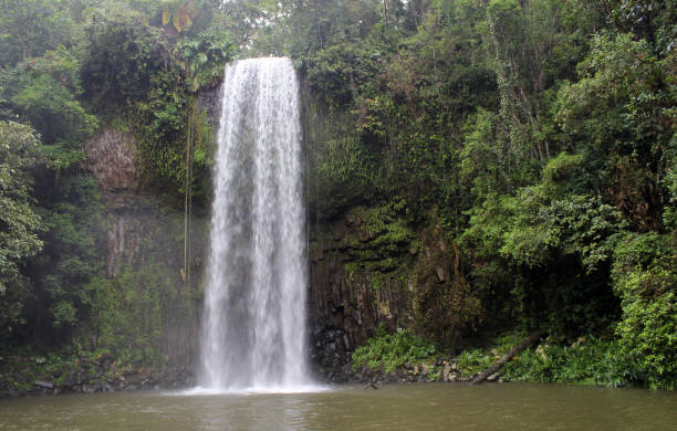 istock Millaa Millaa Falls waterfall surrounded by trees in Far North Queensland, Australia 1698364102