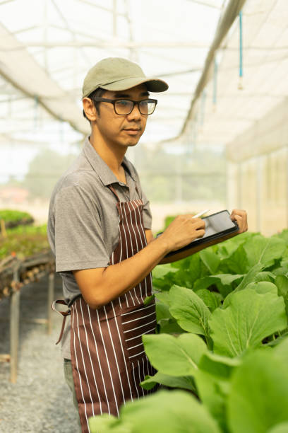 istock Asian smart farmer holding tablet while checking vegetable in the organic farm. Agricultural entrepreneur who started a vegan farming business. 1698375764