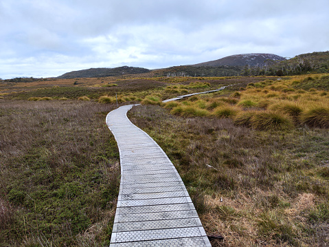 Footpath at the famous Overland Track, traversing Cradle Mountain-Lake St Clair National Park, within the Tasmanian Wilderness World Heritage Area. Officially the track runs for 65 kilometres from Cradle Mountain to Lake St Clair. 
The Overland Track is listed by Lonely Planet as one of the best treks in the world.