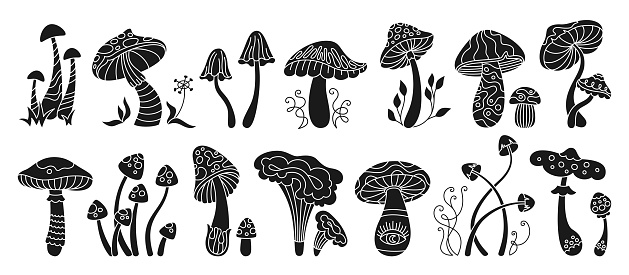 Mushrooms mystical stylizes stamp or engraving set. Boho magic poisonous and edible stencil mushrooms. Organic line poisonous psychedelic fungus etching style. Print ornament fungus vector collection