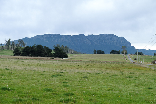 Green land at Mount Roland, a mountain, and a conservation area in the north west coast region of Tasmania, Australia. The peak rises to 1,234 metres.