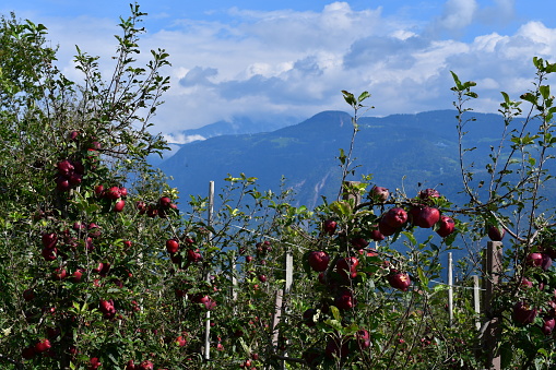 Schöne Landschaft mit Bergen bei Tisens in Südtirol