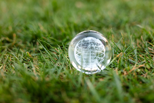 Globe in green grass