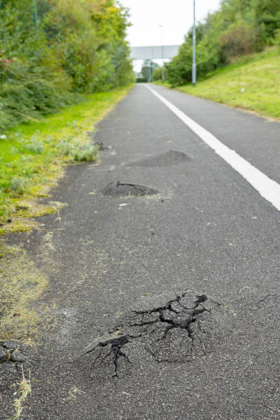 Dangerous road, path with holes ,destroyed by tree roots growing through tarmac
