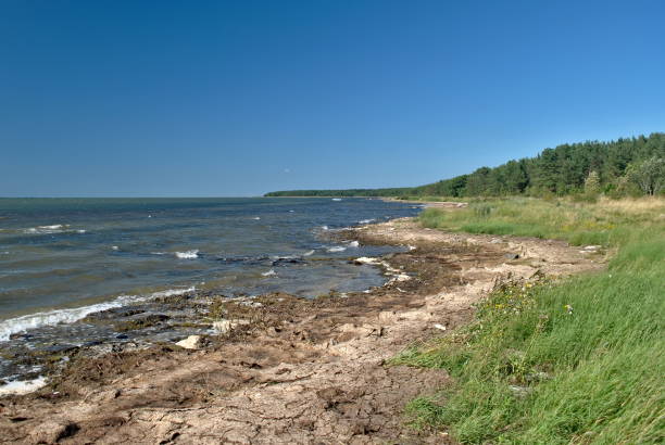 istock Coastline on the estonian island Saaremaa. 1698422886