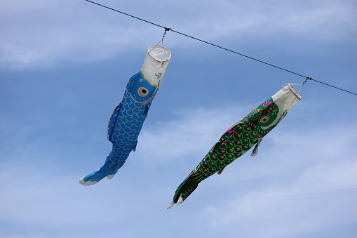 Scenery of Japanese carp streamers fluttering in the wind