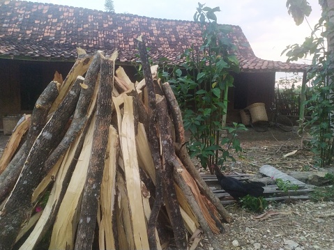 Firewood in front of a village house with a cool atmosphere