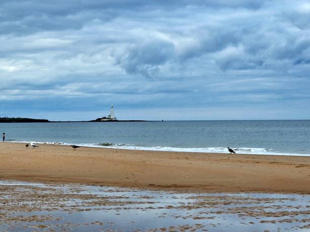 istock Whitley Bay and St. Mary's lighthouse, British beach, England 1698472482