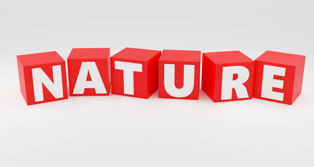 istock Inscription on red cubes nature on white smooth background, soft light, 3d rendering 1698473023