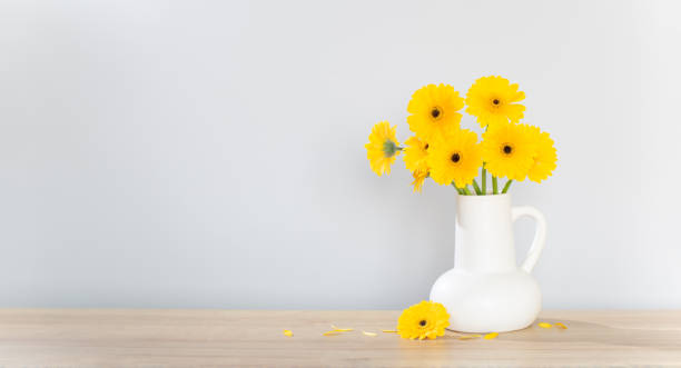 istock yellow gerbera in  white jug  on wooden shelf  on background wall 1698473069