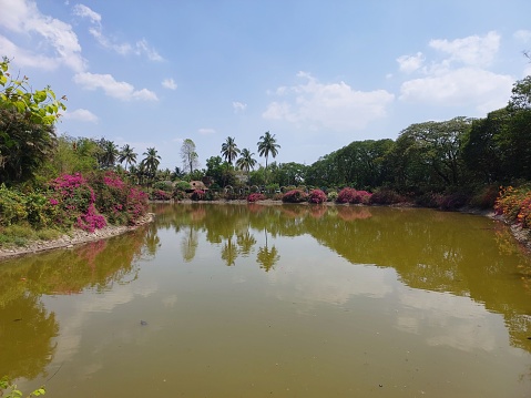 Pond in a scenic landscape with flowers and greenery almost like a painting