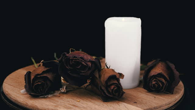 Burning White Candle and Four Withered Dry Roses Rotate on a Black Background