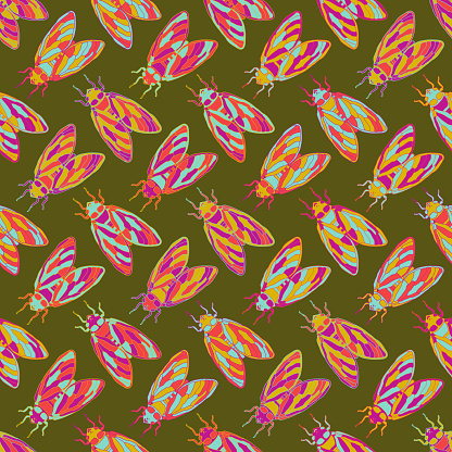 Cicada insects seamless pattern. Vector background with hand drawn Cicada sketch. Summer design with insects.