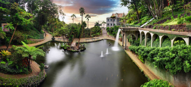 フンシャル - マデイラ、モンテトロピカルガーデン、夕暮れ時の湖の宮殿の景色、ポルトガル - monte palace ストックフォトと画像