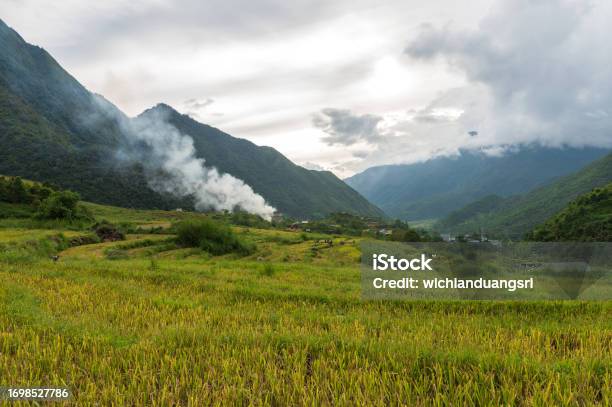 Terraced Rice Field In Mu Cang Chai Vietnam Stock Photo - Download Image Now - 20-24 Years, Adult, Adults Only