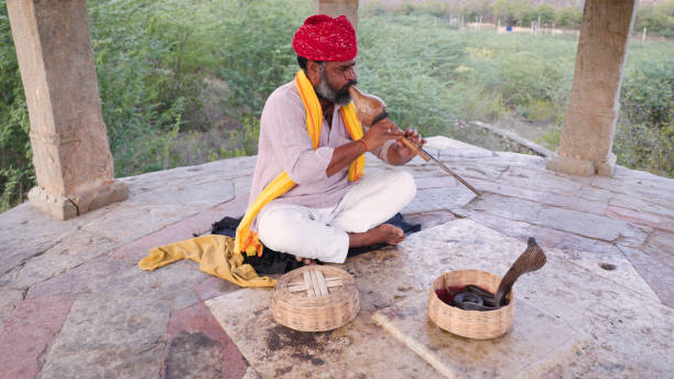 istock Indian snake charmer, Jaipur, Rajasthan 1698537704