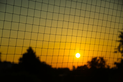 Sun on the net, sunset