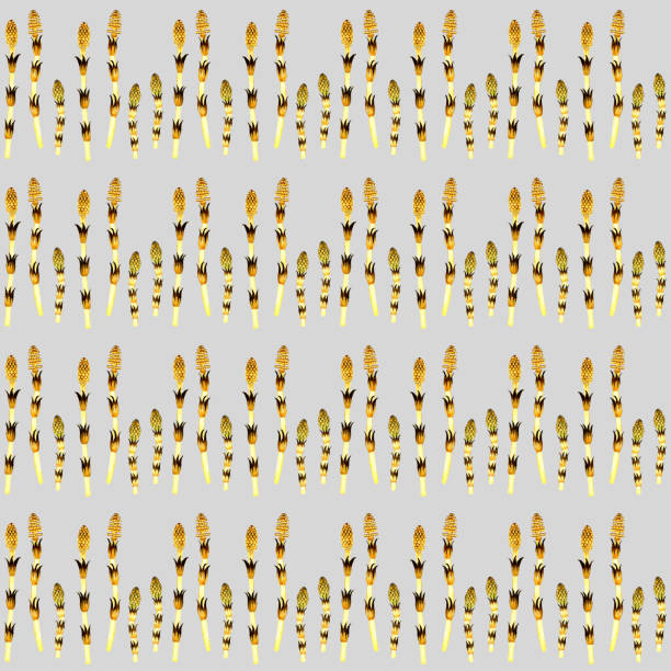 istock Seamless pattern of Tsukushi. Watercolor pencil hand-drawn illustration of spring plants. 1698549635