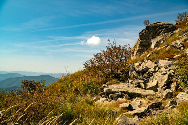 A mountain range in the Bieszczady Mountains in the area of Tarnica, Halicz and Rozsypaniec.