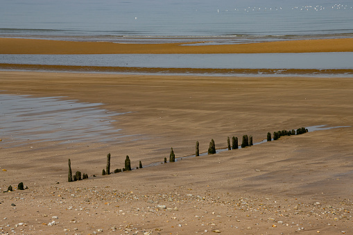 Old wood pillars in a row at the beach