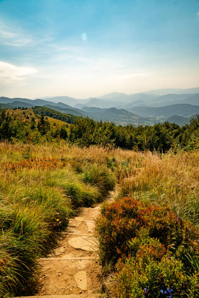 istock The Bieszczady Mountains, Carpathians, Poland. 1698591776