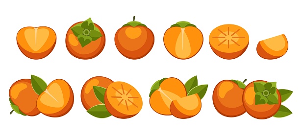 Cartoon persimmons. Orange ripe whole half slices persimmon fruits ingredients isolated vector illustration, diospyros kaki harvest front and side views