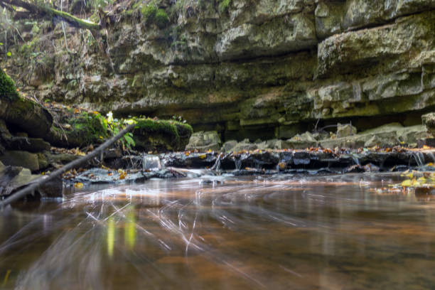 istock a small rapid river flows through dolomite rocks, long-term exposure, gentle and fuzzy river water, colorful autumn leaves and dry branches water 1698642550