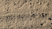 beige hot sand with clods as a desert or beach macro background