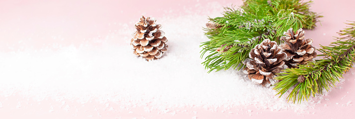 Christmas background, green pine branches, cones decorated with snow on snowy pink background. Creative composition with border and copy space design. New Year's, holiday, christmas decoration