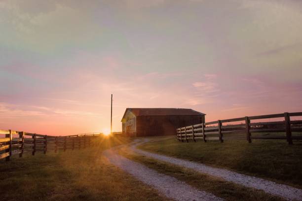 Tobacco Barn with fence and country road at sunrise- Richmond, Kentucky stock photo