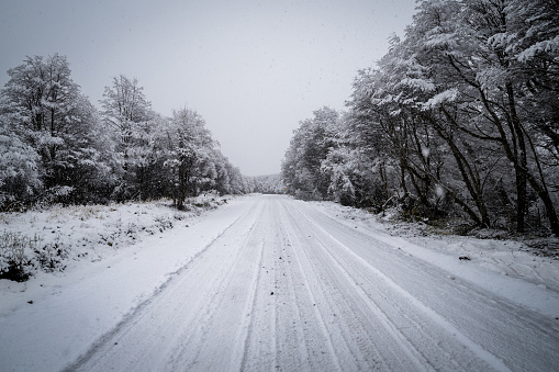 Snowy road through forests on the mountains of Aysen region in the chilean Patagonia