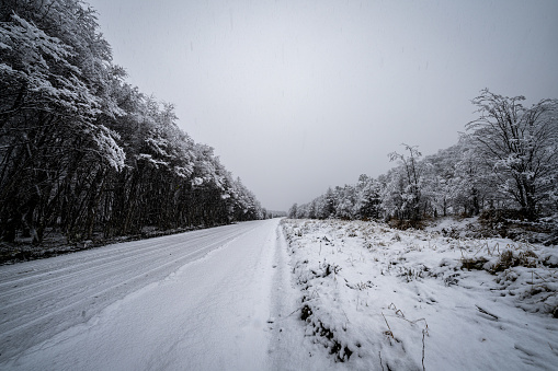 Snowy road through forests on the mountains of Aysen region in the chilean Patagonia