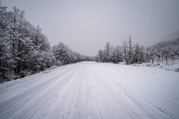 Free Stock Photo of A snowy road with trees and a mountain in the ...