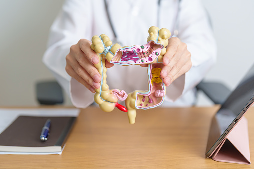 Doctor with human Colon anatomy model and tablet. Colonic disease, Large Intestine, Colorectal cancer, Ulcerative colitis, Diverticulitis, Irritable bowel syndrome and Digestive system