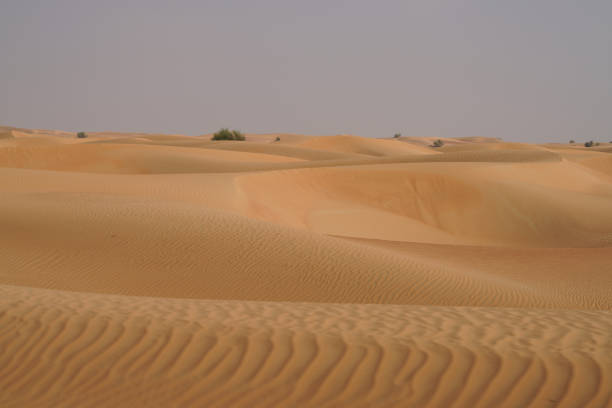 Dubai desert - United Arab Emirates