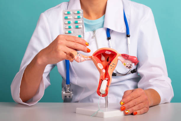 ginecóloga demostrando modelo de sistema reproductor femenino y tampón higiénico. concepto de salud e higiene femenina de la mujer. - menstruation tampon gynecological examination sex fotografías e imágenes de stock