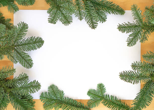 istock Framework of green fir twings on the withe paper background on the wooden table. 1698748416